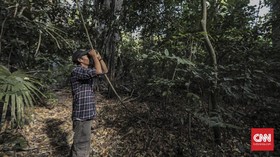 Sisi Lain Baluran, dari Pantai Bama sampai 'Bird Watching'