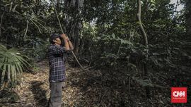 Sisi Lain Baluran, dari Pantai Bama sampai 'Bird Watching'