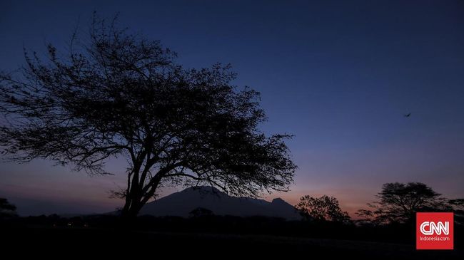 Bagi yang tak punya rencana liburan di momen cuti bersama minggu depan, BNPB menyarankan untuk melakukan kegiatan cinta lingkungan demi menjaga alam.