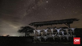 FOTO: Afrika di Timur Jawa