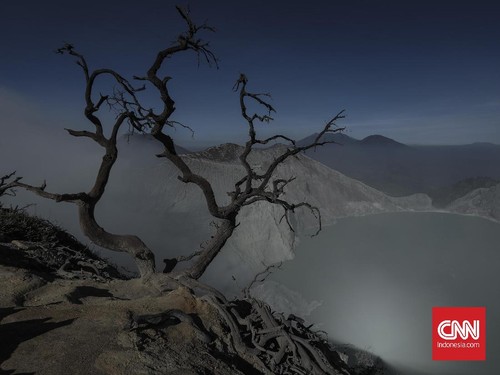 Karhutla di Cagar Alam, TWA Kawah Ijen Terancam Ditutup Sementara