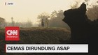 VIDEO: Cemas Dirundung Asap
