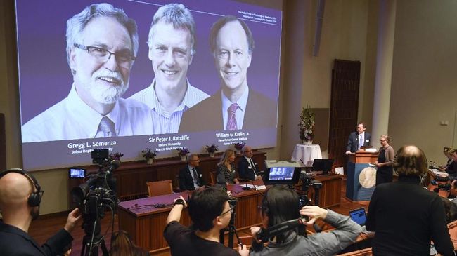Penghargaan nobel untuk kedokteran tahun 2019 diberikan kepada William Kaelin Jr, Sir Peter Ratcliffe, dan Gregg Semenza dengan penelitian sel. 