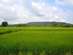 Kondisi Perekonomian Thailand, dari Pertanian hingga Pariwisata