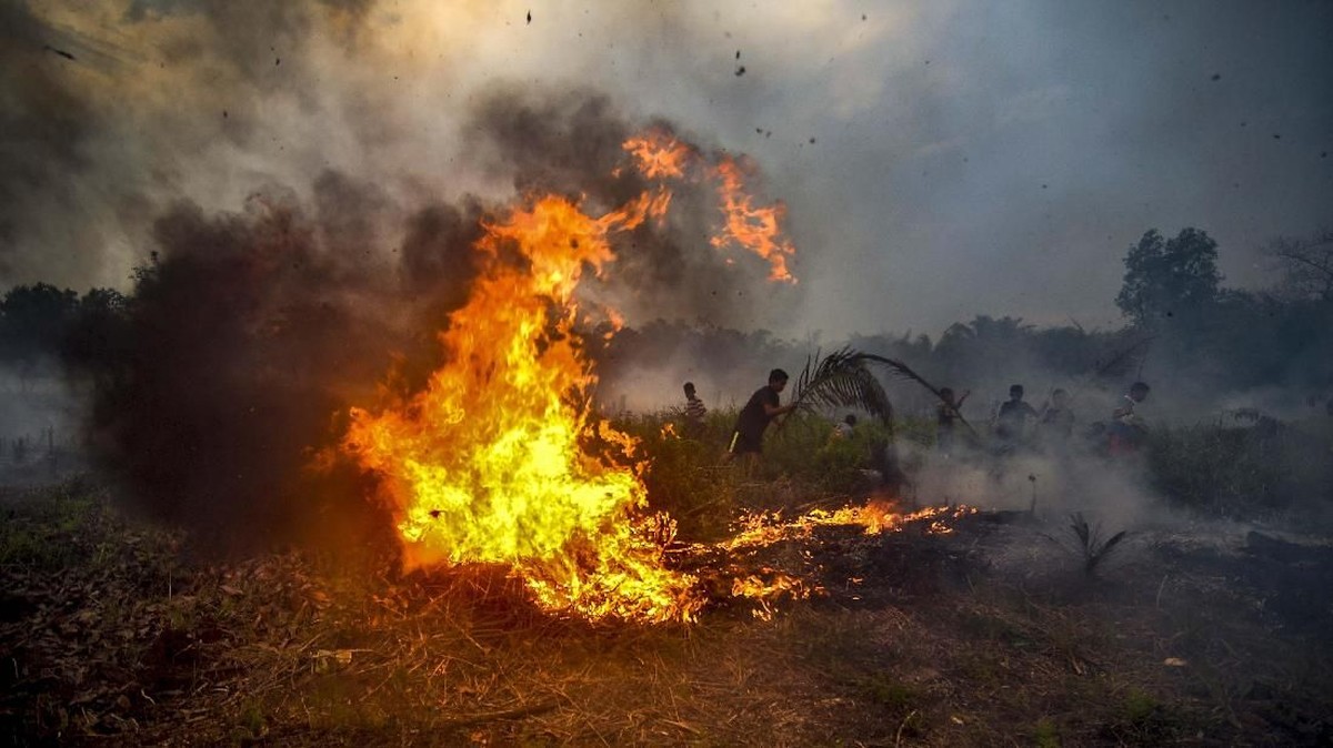 FOTO : Hotspot Karhutla di Riau Bertambah Lagi