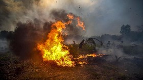241 Hektare Lahan di Bandung Terbakar, Termasuk Kawah Putih
