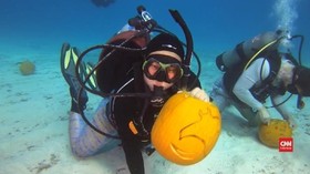 VIDEO: Sambut Halloween, Penyelam Ukir Labu di Bawah Laut