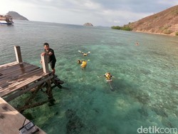 Warga Komodo: Guide Harusnya Dampingi Turis Saat Snorkeling