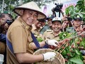 KPK Tetapkan Bupati Lampung Utara Tersangka Suap di Dua Dinas