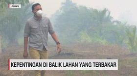 VIDEO: Kepentingan di Balik Lahan yang Terbakar