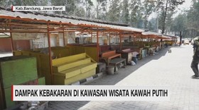 VIDEO: Dampak Kebakaran di Kawasan Wisata Kawah Putih