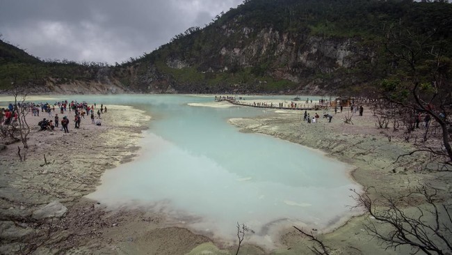 Karhutla di Kawah Putih, Ciwidey, Bandung, disebut butuh penanganan skala besar meski api disebut masih jauh dari pemukiman warga dan area wisata.