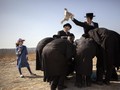 FOTO: Tashlich, Upacara Pembersihkan Dosa di Israel