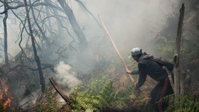 Kebakaran Kawah Putih Capai 15 Ha, Diduga Akibat Puntung