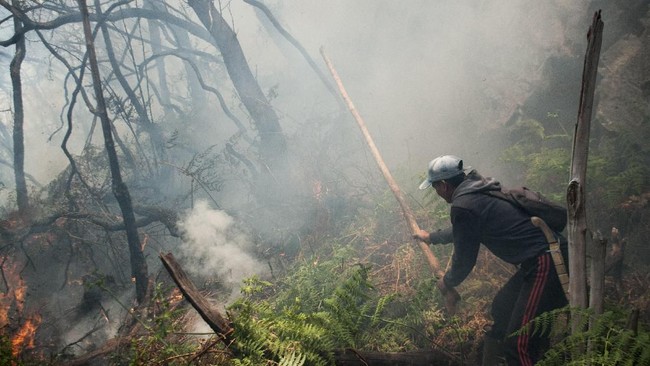 Puntung rokok diduga menjadi penyebab kebakaran lahan di Kawah Putih yang disebut mencapai 15 hektare dan sejauh ini belum terdapat korban jiwa.