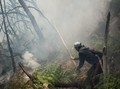 Kebakaran Kawah Putih Capai 15 Ha, Diduga Akibat Puntung