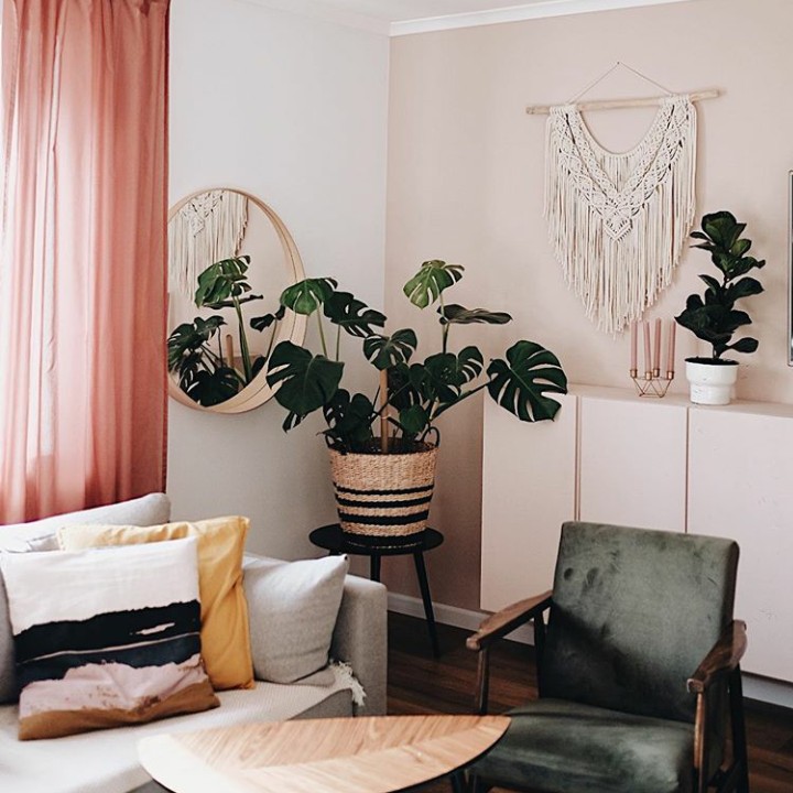 Bagaimana, ertarik mendekor rumah seperti ini, Bunda? Ya, Monstera kini jadi tanaman hits, selain cantik, perawataannya enggak sulit. (Foto: Instagram @dominikawojtazsek.