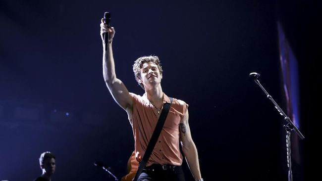 Shawn Mendes postpones tour to restore sanity