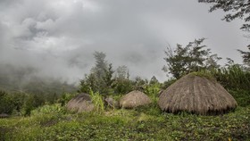 PKS Minta Pengecekan Penumpang Pesawat di Papua Diperketat