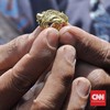 Diincar Kolektor Dunia, RI Menyimpan Harta Karun Lebih dari Rp200 T