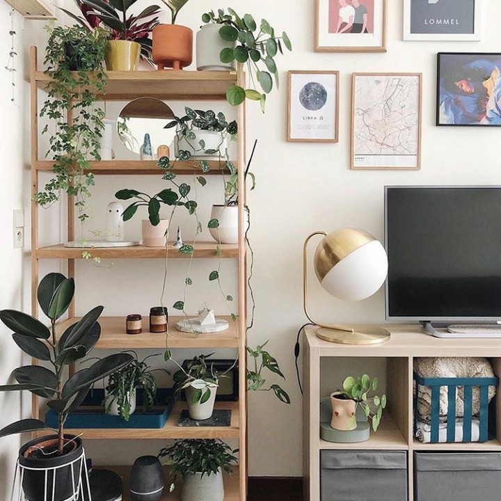 Bagi pencinta tanaman, kita bisa memakai rak untuk memaksimalkan ruang menaruh tanaman. (Foto: Instagram @plantssparkjoy)