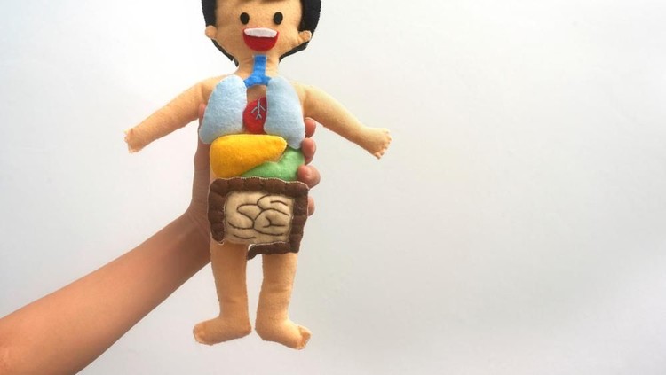 Ilustrasi Pencernaan Anak Ilustrasi Pencernaan Anak
