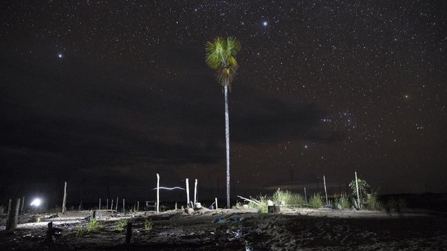 FOTO: Hadapi Perubahan Iklim, Peru Serukan Aksi Penghijauan