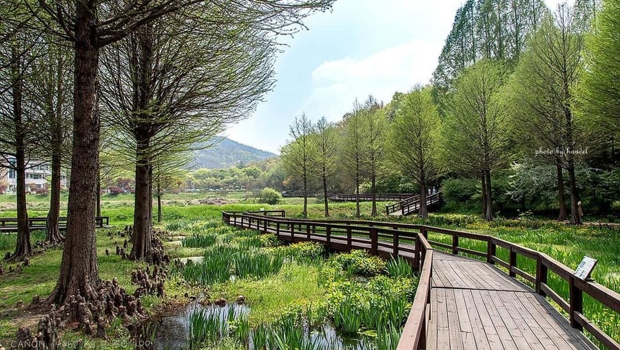 Lokasi syuting drama Korea di Gyeonggi. 