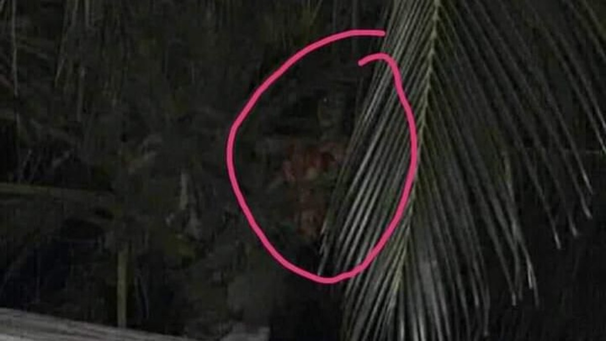 Kuyang menjadi ramai diperbincangkan usai sosoknya membuat geger warga di Samarinda&comma; Kalimantan Timur&period; Lalu apa saja fakta-fakta dari Kuyang&quest;