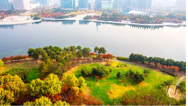 3 Tujuan Wisata Paling Populer di  Gyeonggi Korea  Selatan 