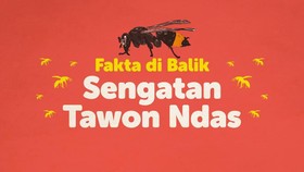 INFOGRAFIS: Fakta di Balik Sengatan Tawon Ndas