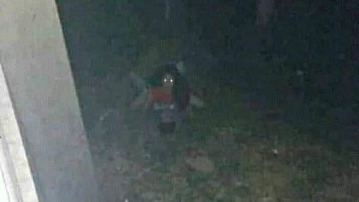 Kuyang menjadi ramai diperbincangkan usai sosoknya membuat geger warga di Samarinda&comma; Kalimantan Timur&period; Lalu apa saja fakta-fakta dari Kuyang&quest;