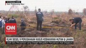 VIDEO: KLHK Segel 9 Perusahaan Kasus Karhutla
