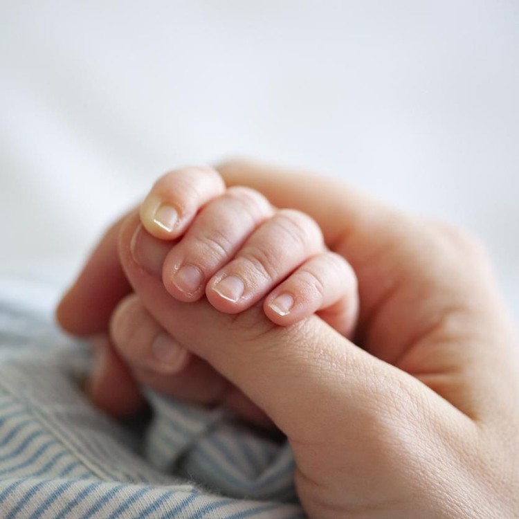 Ilustrasi tangan bayi Baby Boy Holding Mothers Hand