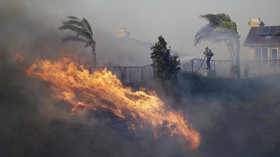 Karhutla di California Nyaris Sambar Jalan Tol