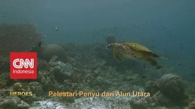 VIDEO: Pelestari Penyu dari Alun Utara