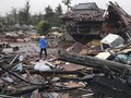 Tikus Berkeliaran di Jalanan Tokyo Usai Topan Hagibis