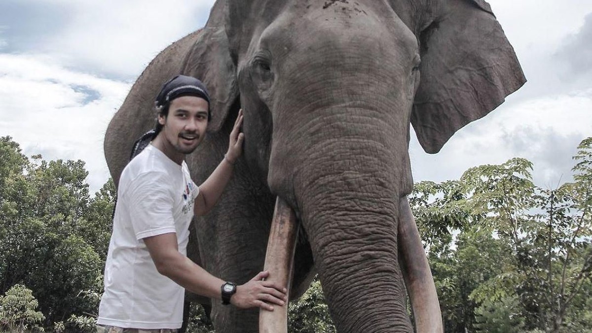 Ternyata tidak hanya manusia tapi binatang juga punya hak untuk hidup&period; Peringati Hari Hak Asasi Binatang&comma; Selasa &lpar;15&sol;10&rpar;&comma; 6 artis ini swafoto bersama binatang&period;