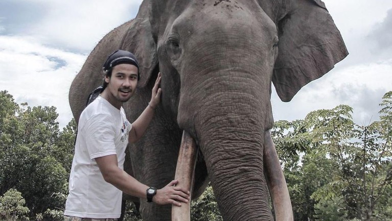 Ternyata tidak hanya manusia tapi binatang juga punya hak untuk hidup. Peringati Hari Hak Asasi Binatang, Selasa (15/10), 6 artis ini swafoto bersama binatang.