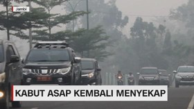 VIDEO: Kabut Asap Kembali Menyekap
