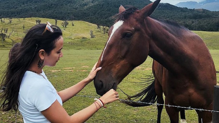 Bikin Gemas, 6 Artis Ini Foto dengan Binatang Ternyata tidak hanya manusia tapi binatang juga punya hak untuk hidup. Peringati Hari Hak Asasi Binatang, Selasa (15/10), 6 artis ini swafoto bersama binatang.