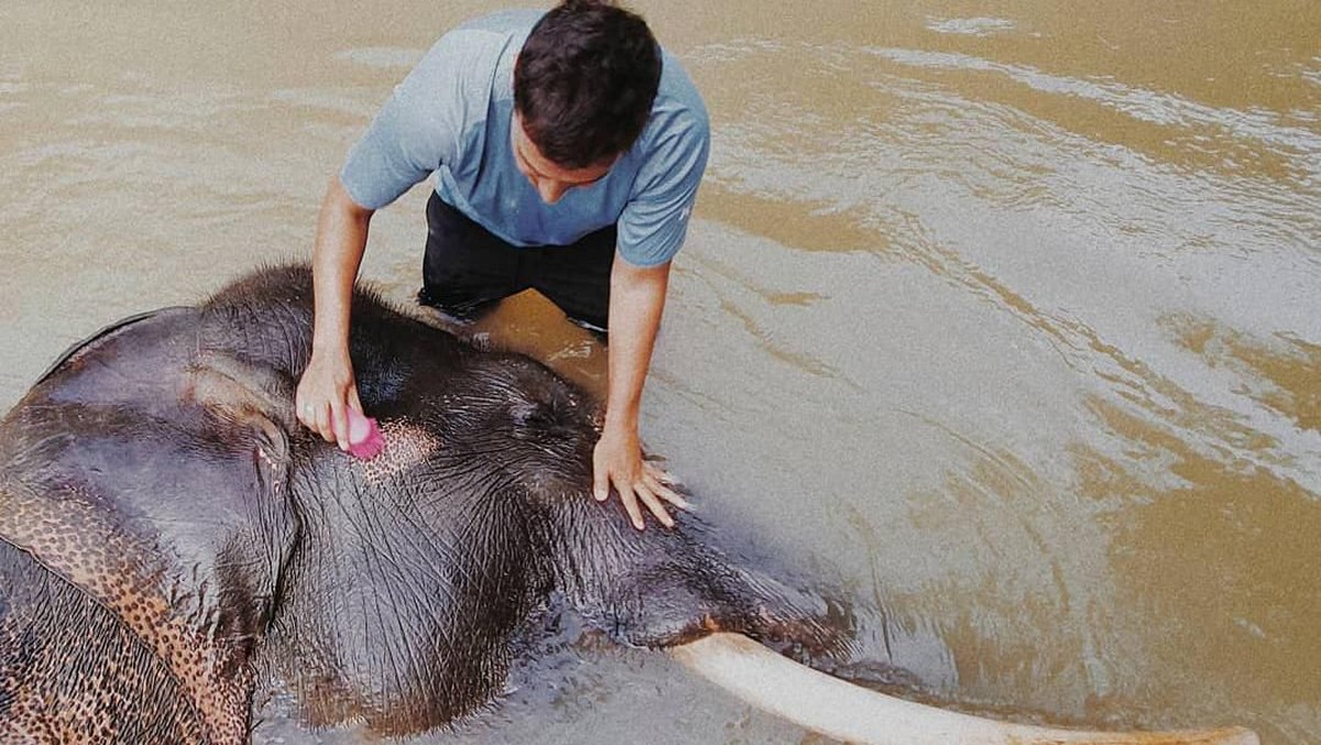Ternyata tidak hanya manusia tapi binatang juga punya hak untuk hidup&period; Peringati Hari Hak Asasi Binatang&comma; Selasa &lpar;15&sol;10&rpar;&comma; 6 artis ini swafoto bersama binatang&period;