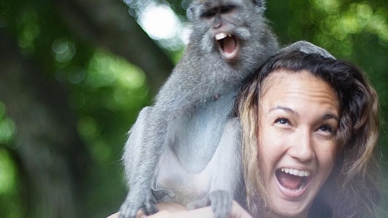 Ternyata tidak hanya manusia tapi binatang juga punya hak untuk hidup. Peringati Hari Hak Asasi Binatang, Selasa (15/10), 6 artis ini swafoto bersama binatang.