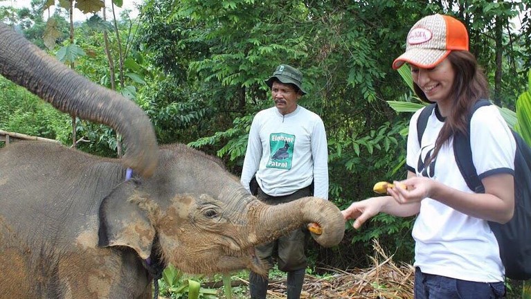 Ternyata tidak hanya manusia tapi binatang juga punya hak untuk hidup. Peringati Hari Hak Asasi Binatang, Selasa (15/10), 6 artis ini swafoto bersama binatang.