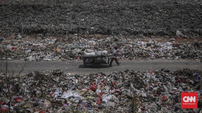 Ada 3,7 Juta Pemulung, KLHK Diminta Tak Larang Plastik