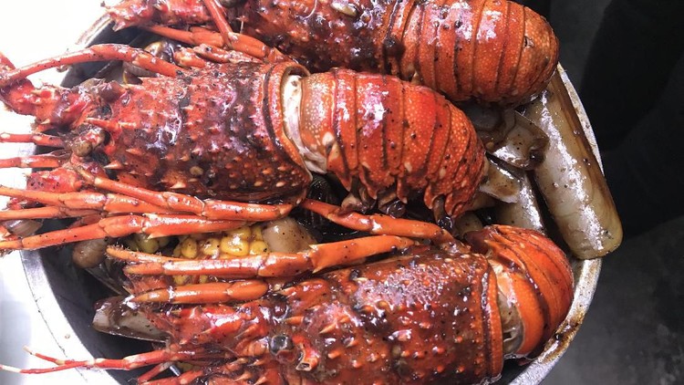 Nonton Bikin Laper: Makan Korean BBQ Sepuasnya & Lobster Tom Yum Bunda pencinta seafood dan makanan Korea ayo merapat di sini.