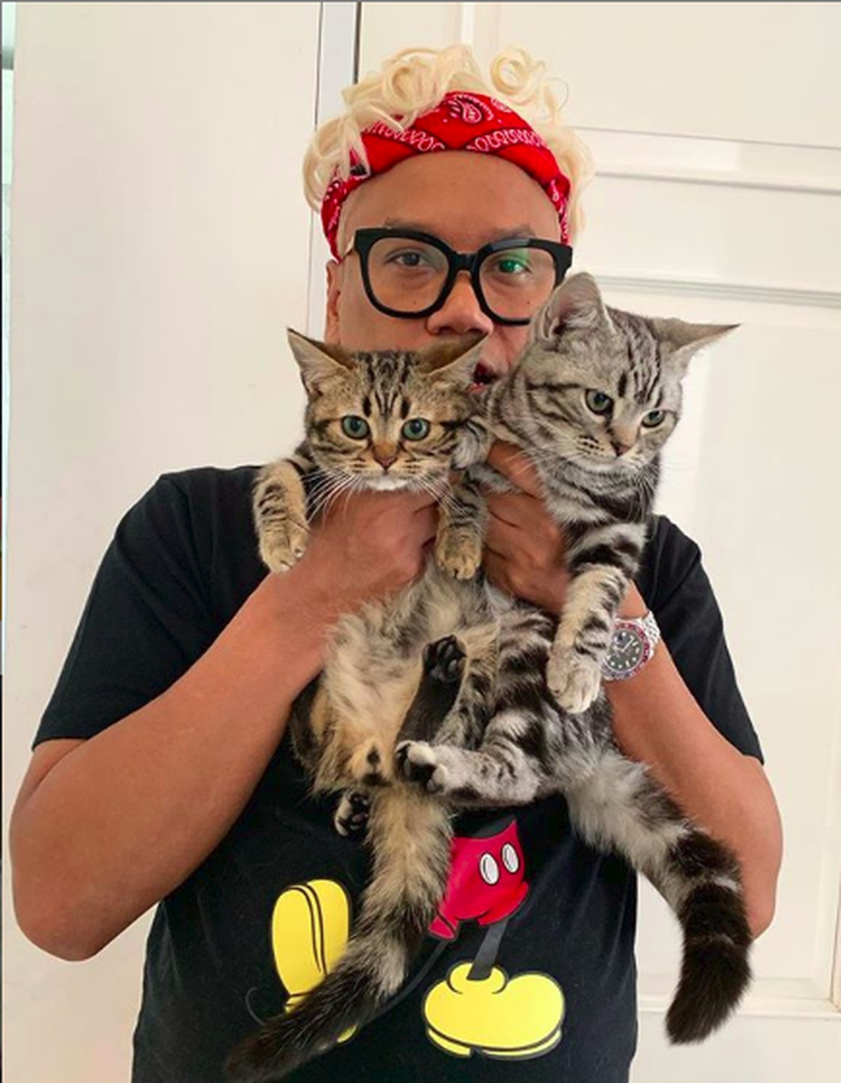 Deretan seleb ini ternyata seorang penyayang binatang&comma; terutama kucing&period; Mau tahu siapa saja&quest; Yuk&comma; intip&excl;
