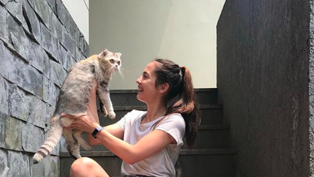 Deretan seleb ini ternyata seorang penyayang binatang&comma; terutama kucing&period; Mau tahu siapa saja&quest; Yuk&comma; intip&excl;