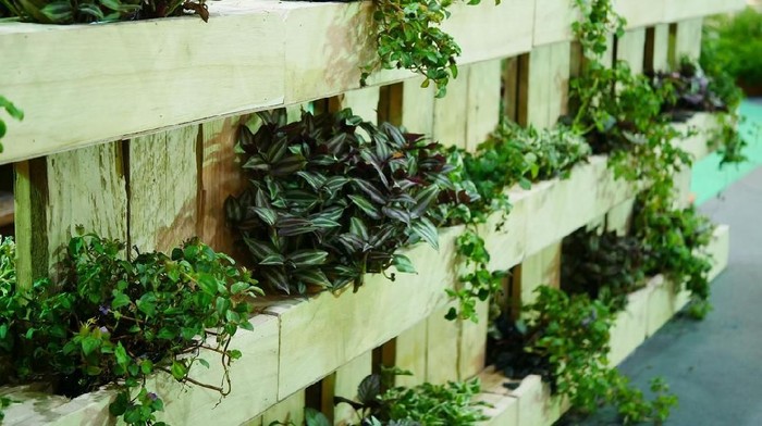 Vertical Garden, Building Exterior, Plant, Office Building Exterior, Ornamental Garden