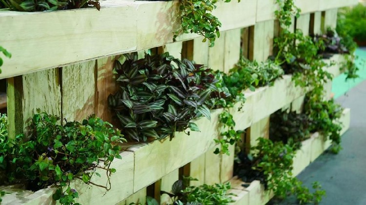 Vertical Garden, Building Exterior, Plant, Office Building Exterior, Ornamental Garden